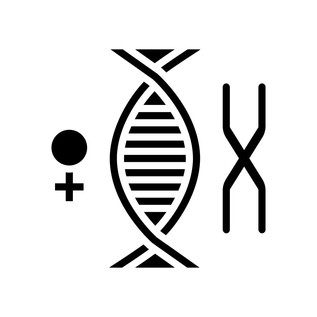 chromosom icon