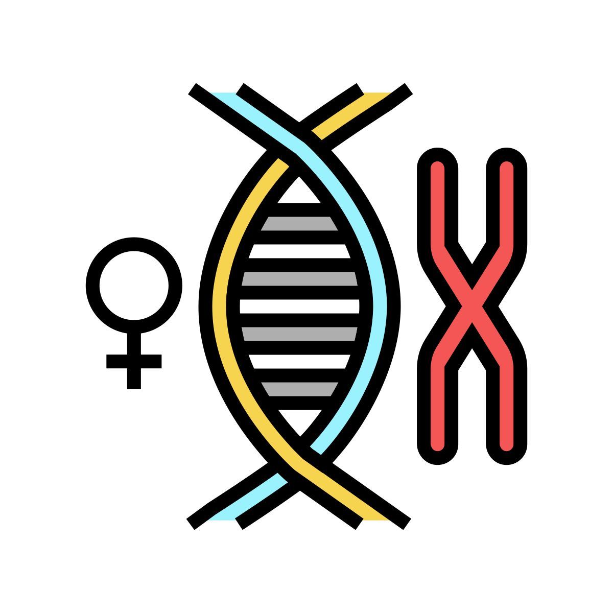 chromosom icon