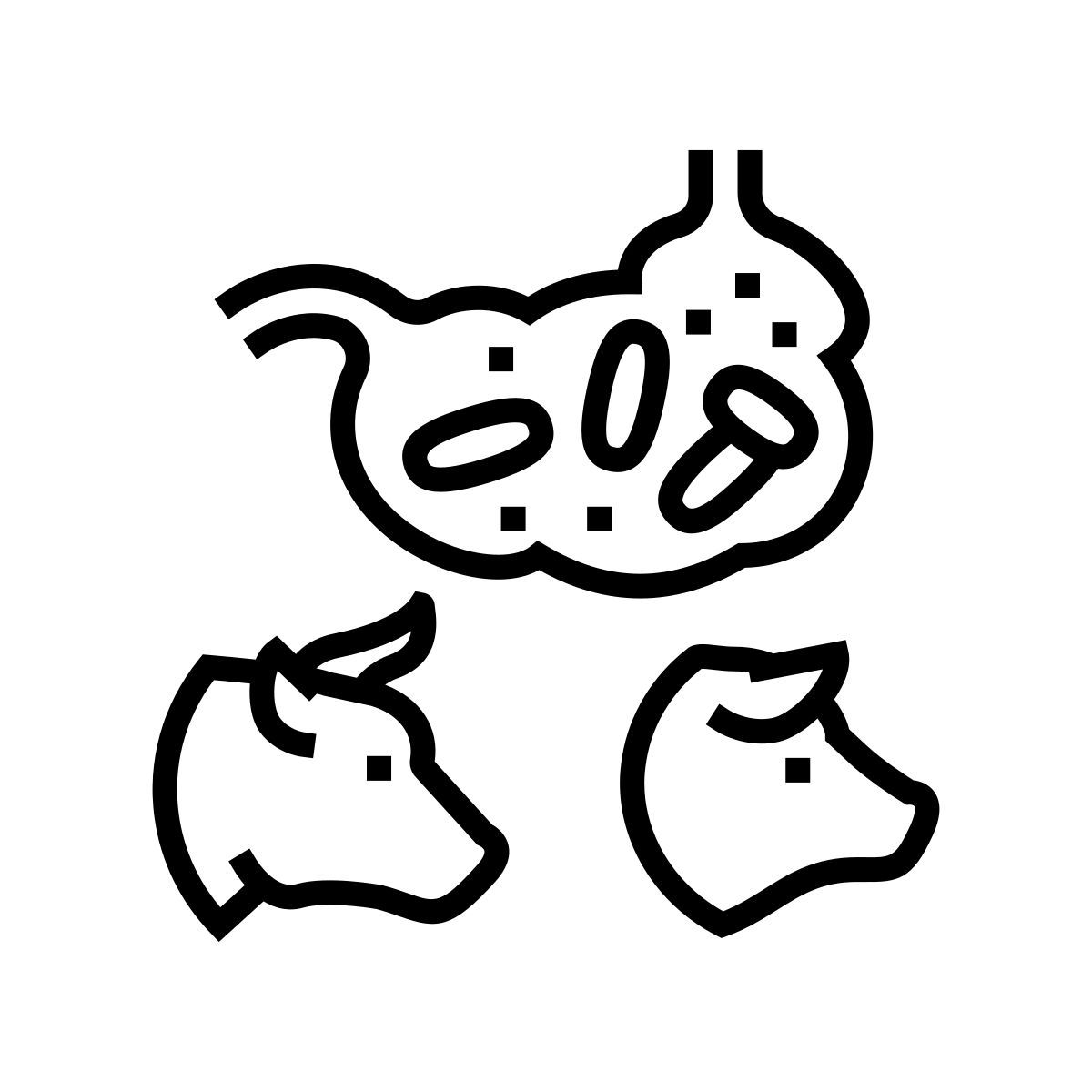 bacilo coli icon