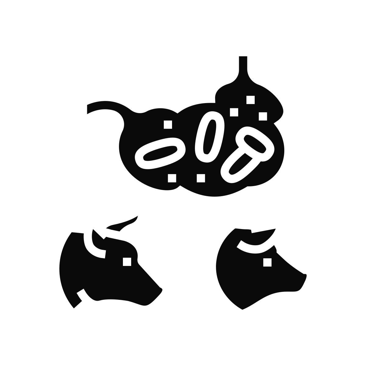 대장균 icon