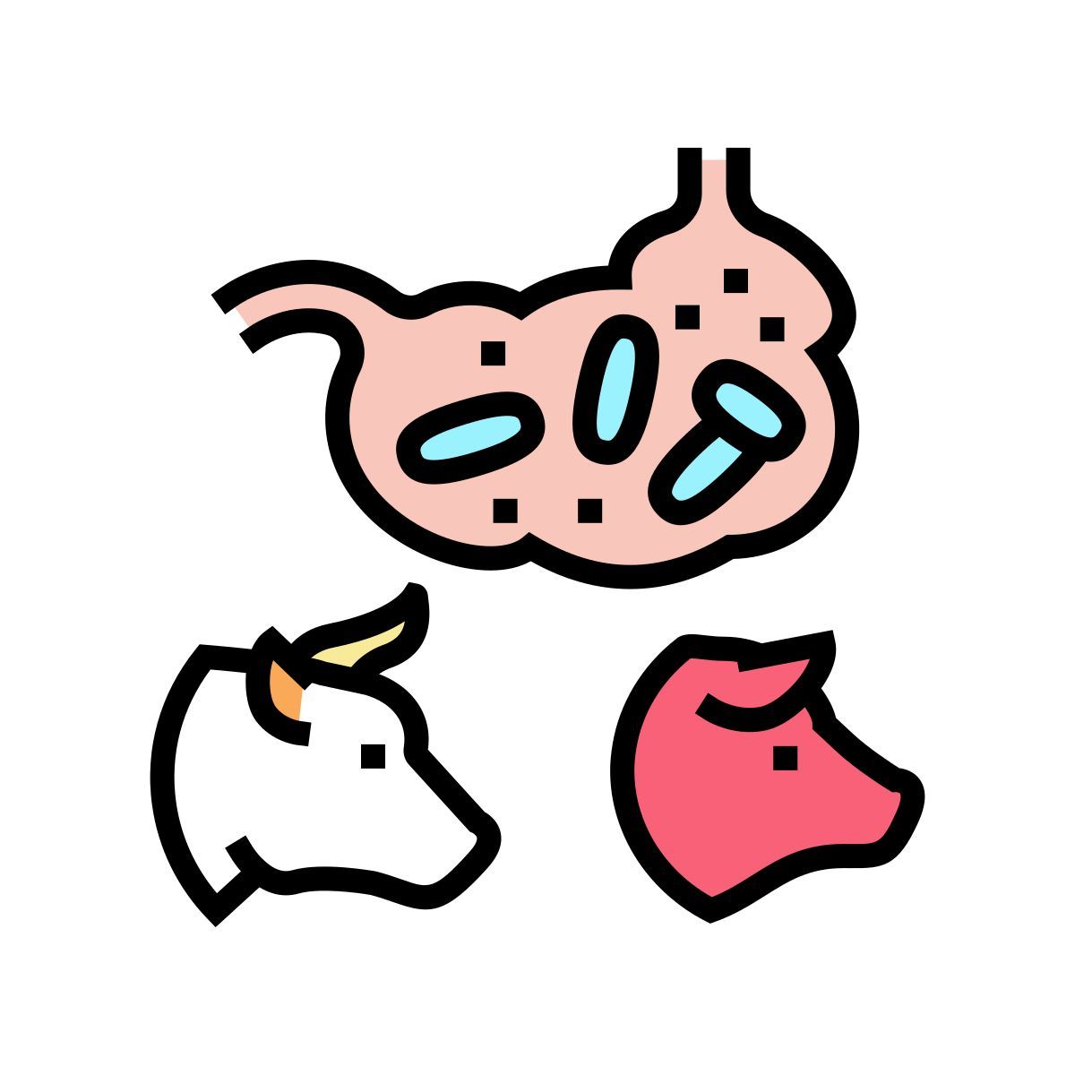 대장균 icon