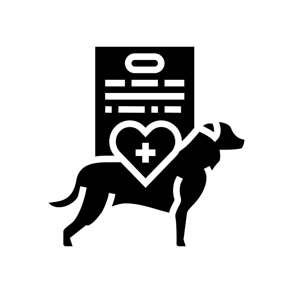 comprehensive physical exam icon