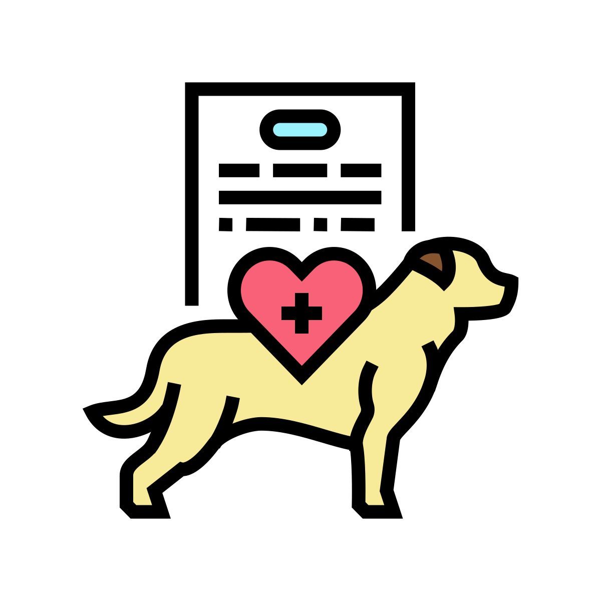 comprehensive physical exam icon