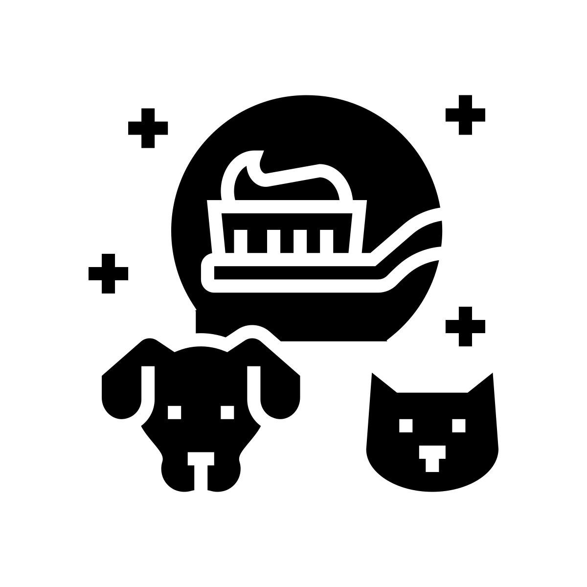 pet dentistry icon