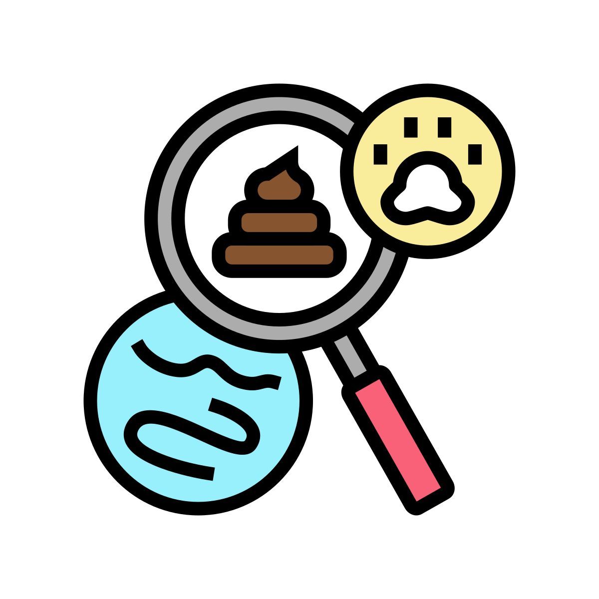 fecal examinations icon