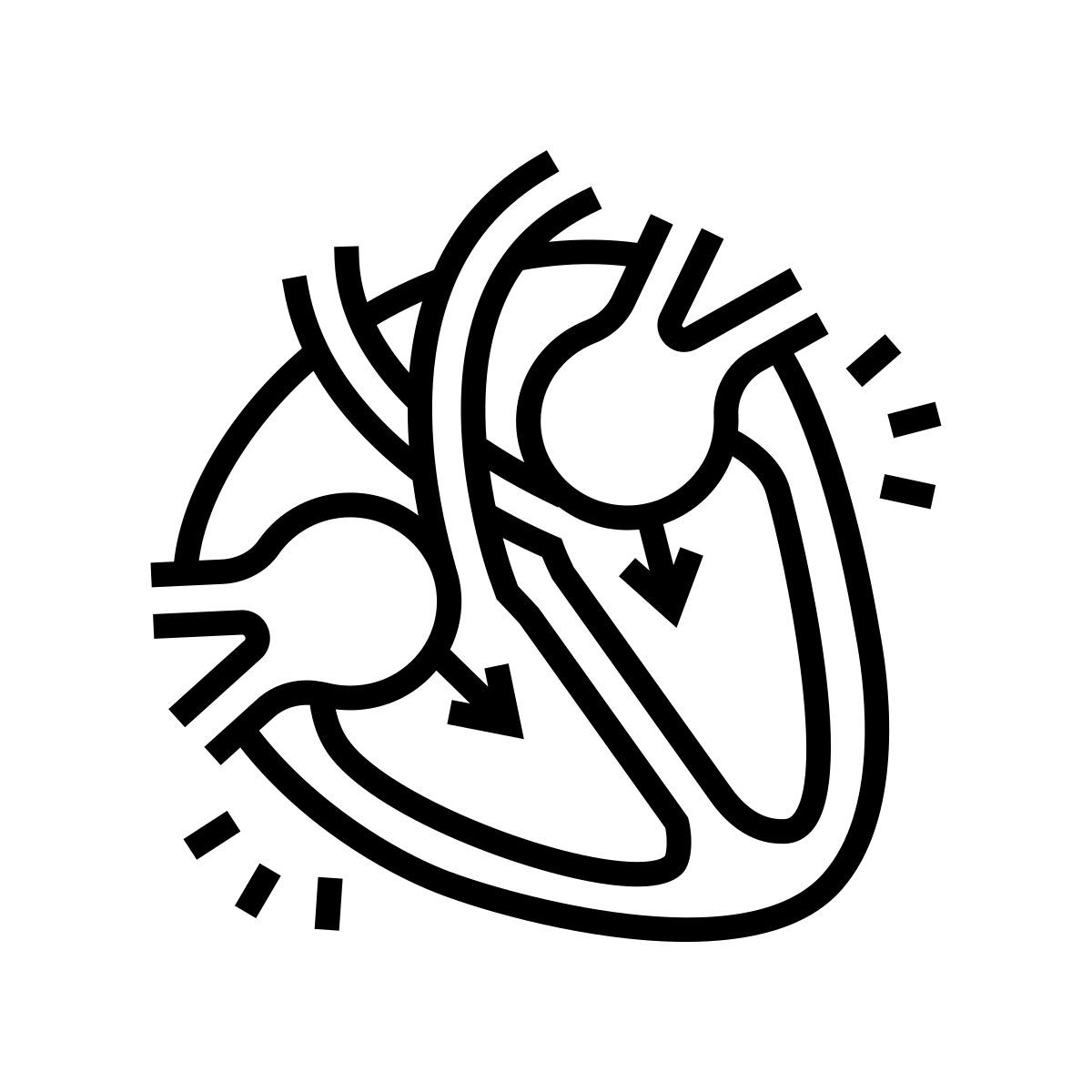 diastole icon