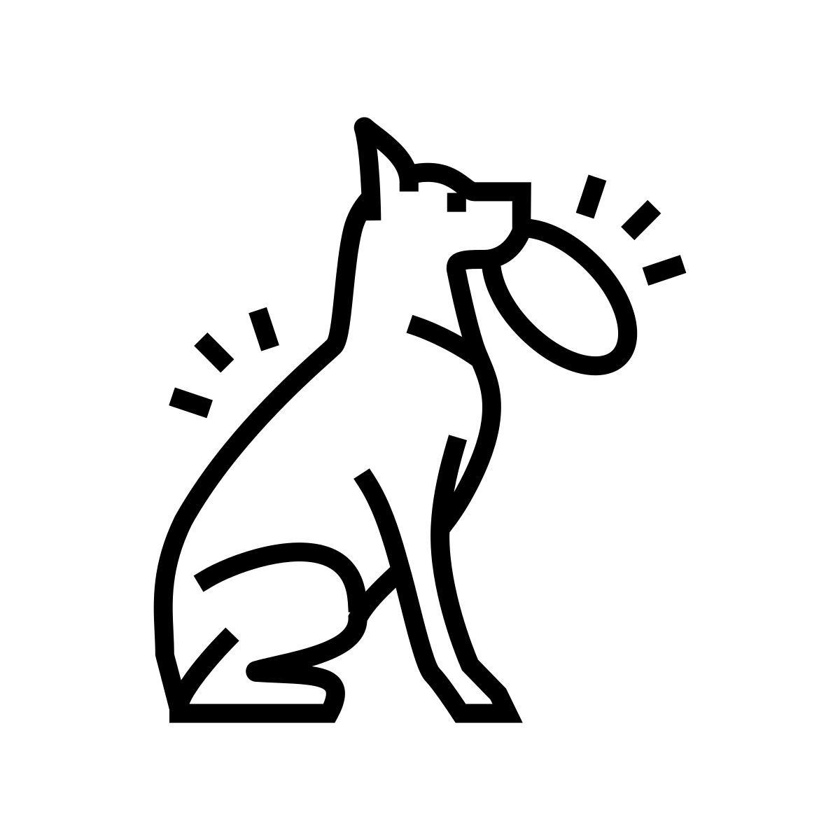 chien jouant icon