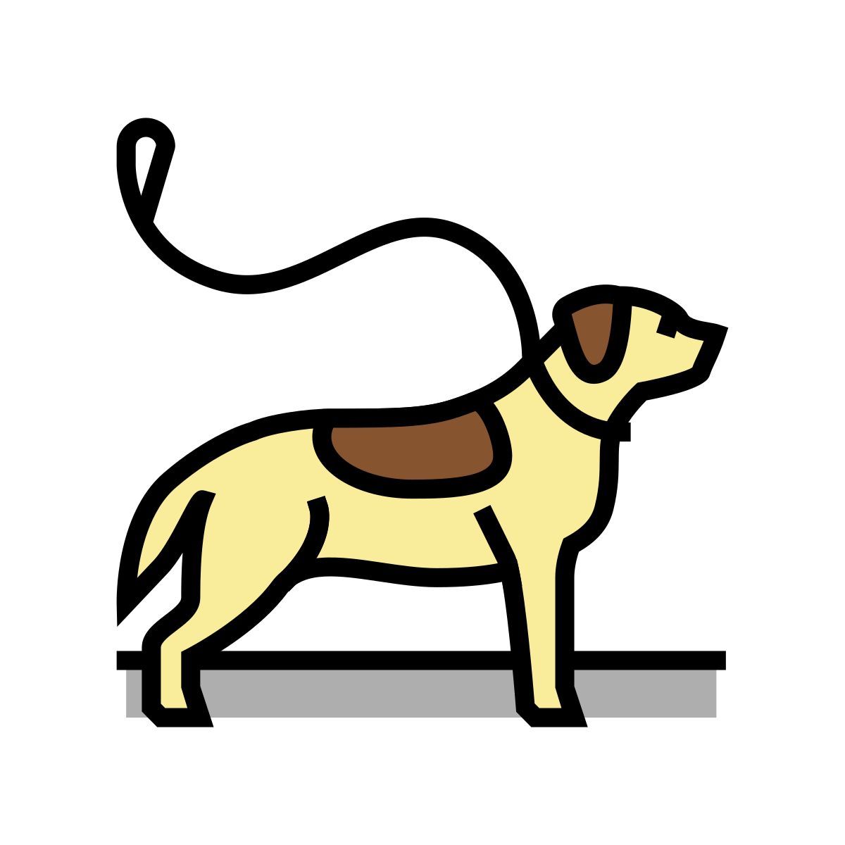 개 icon