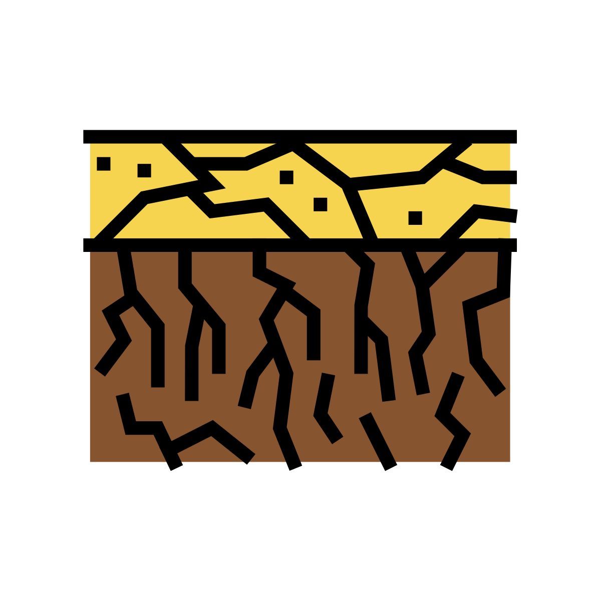 solo seco icon