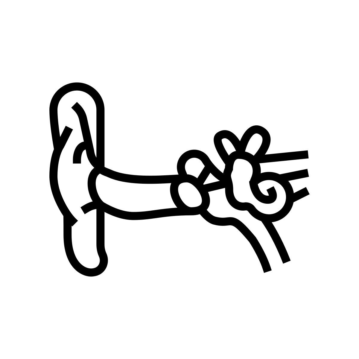 oreja icon