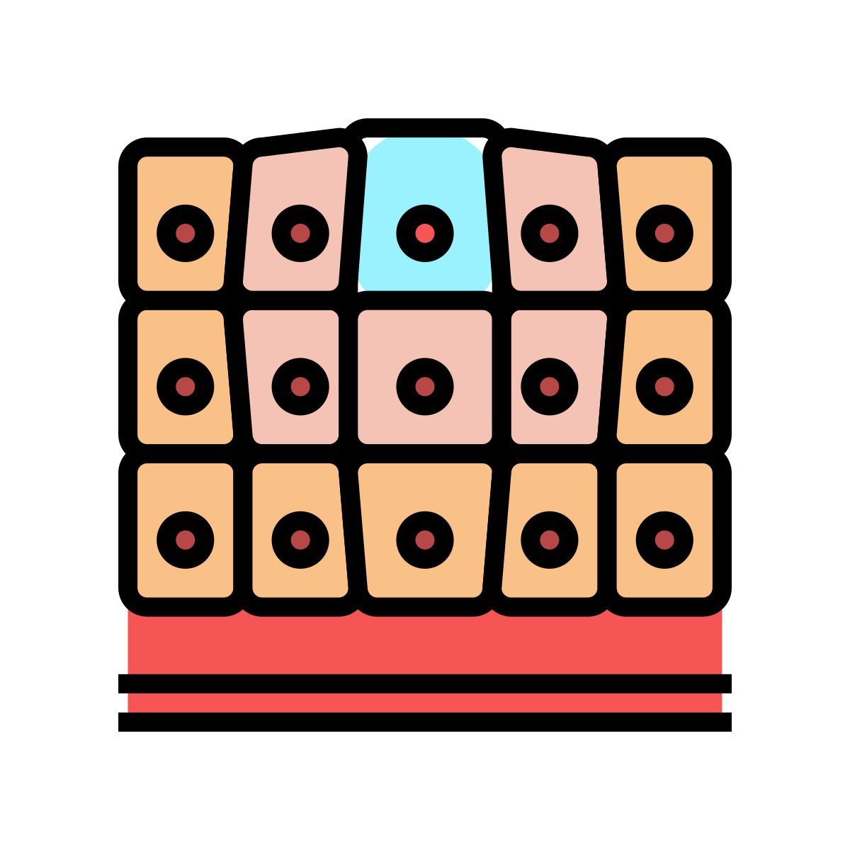 epithelial tissue icon
