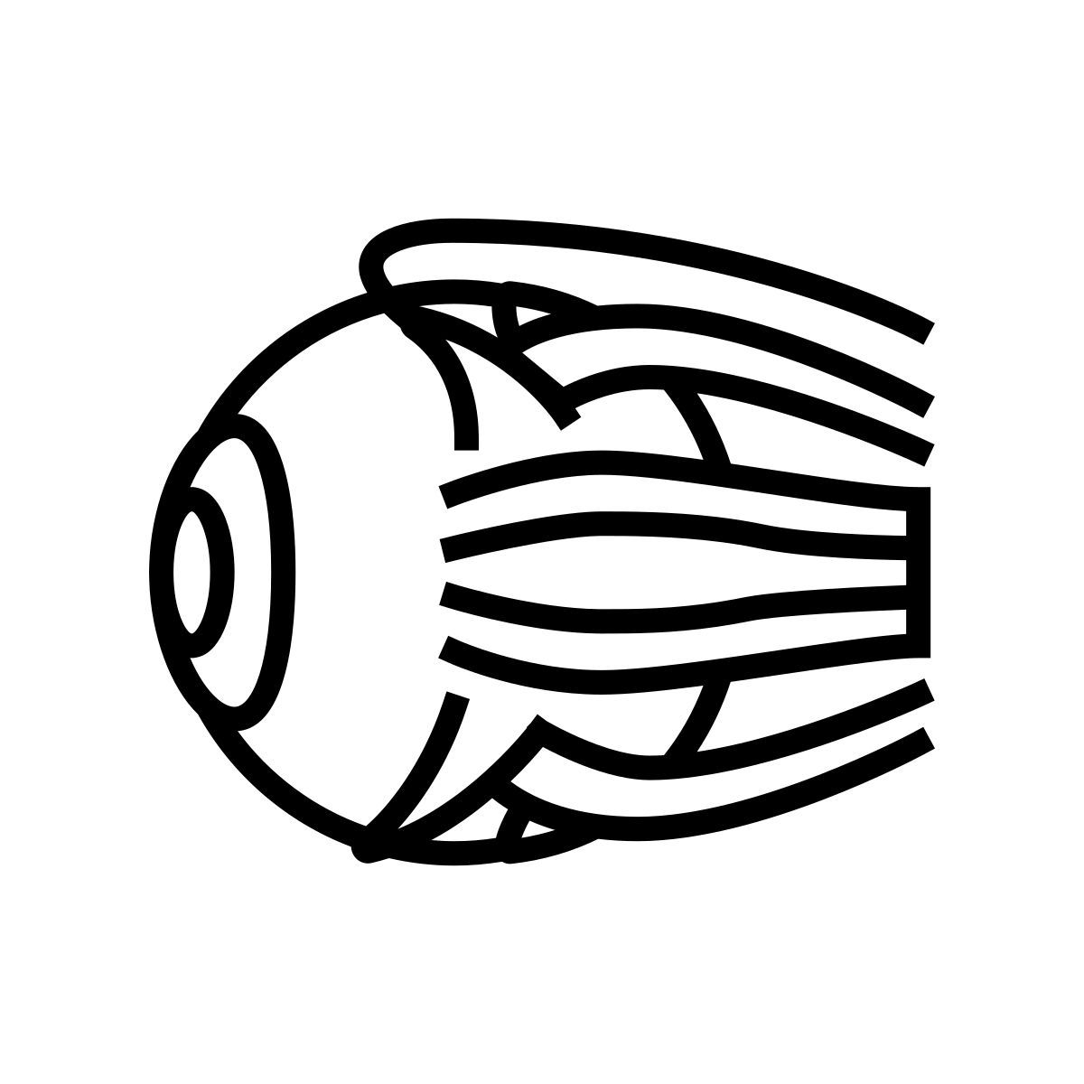 visible icon