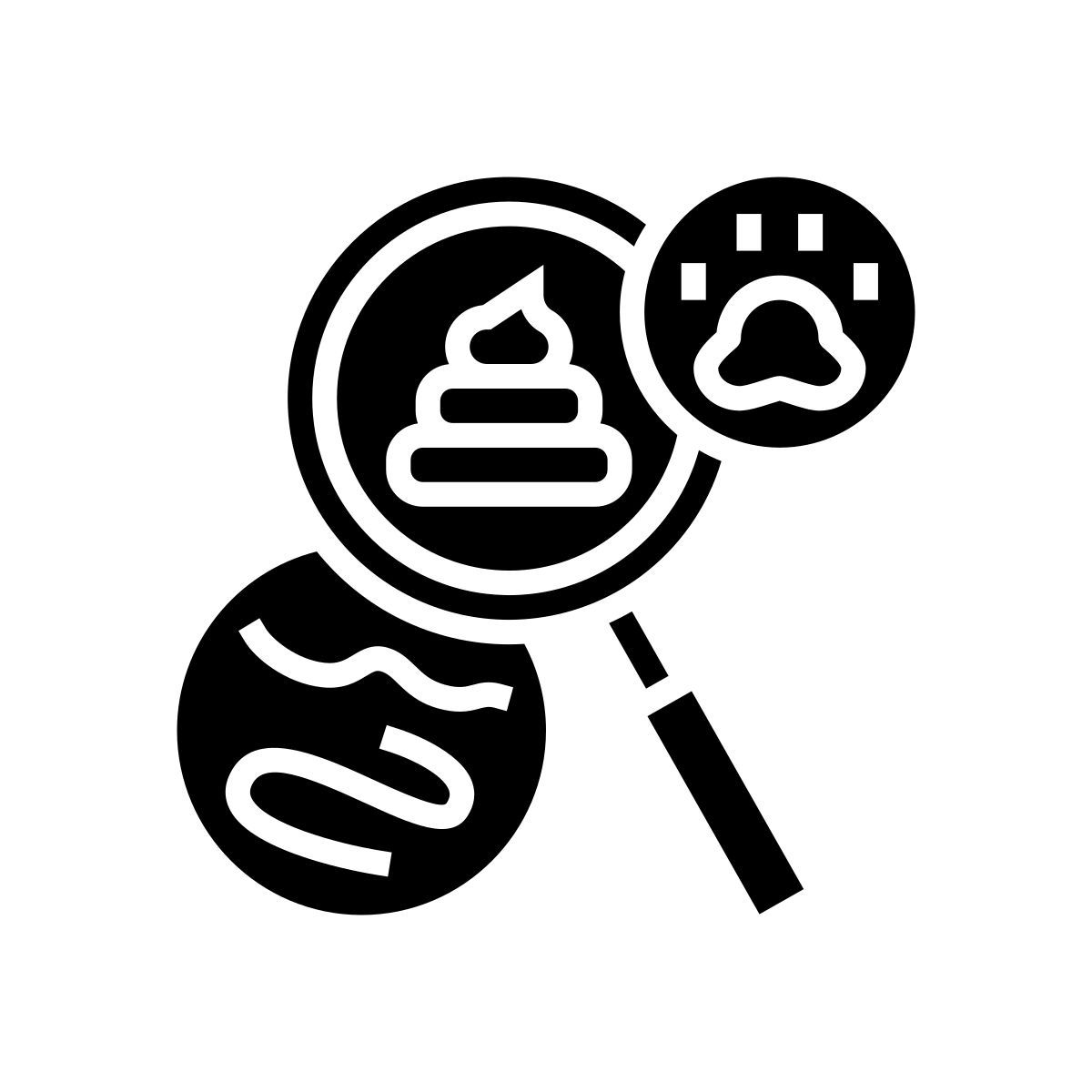 fecal examinations icon