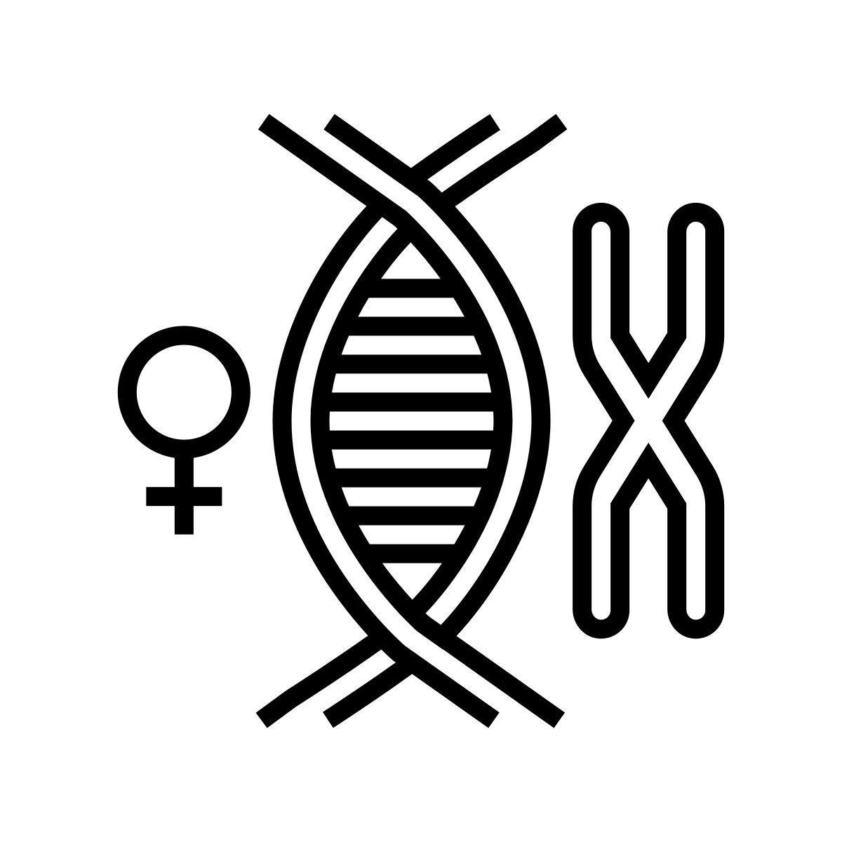chromosom icon