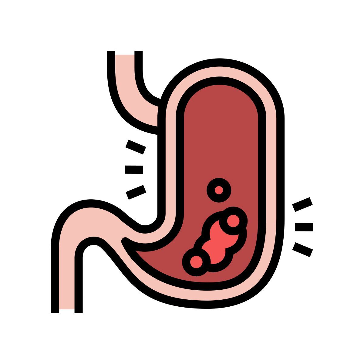 gastric disease icon