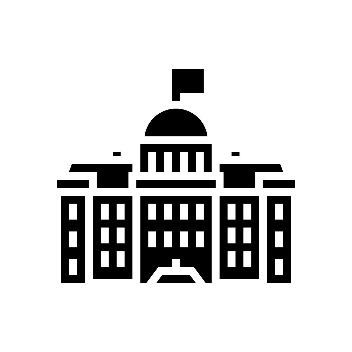 government icon