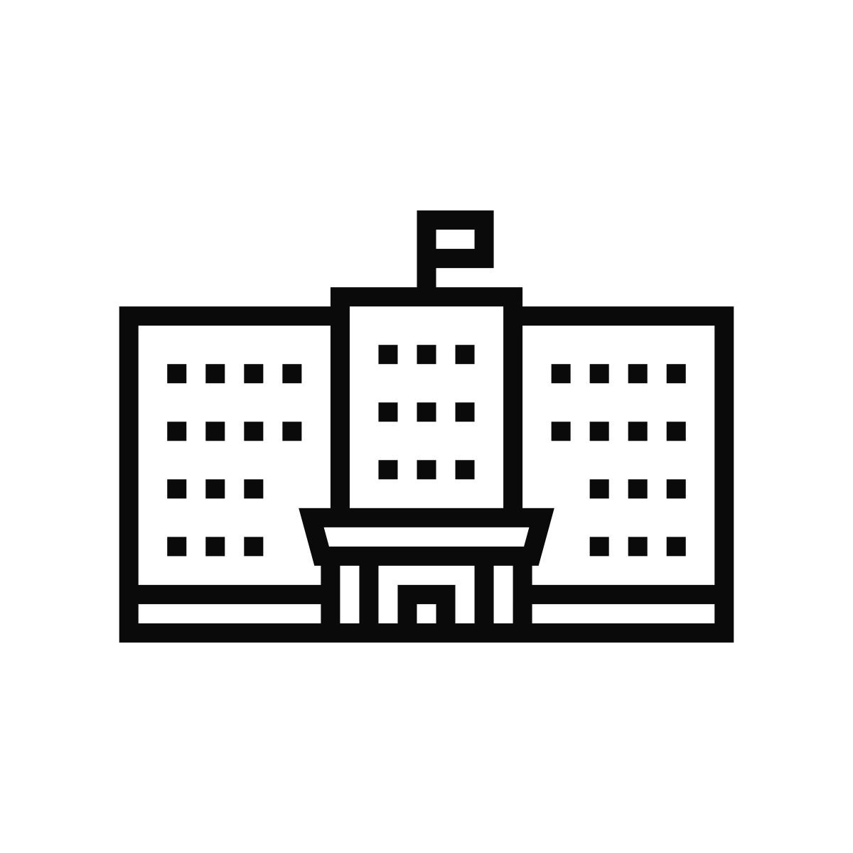 government icon