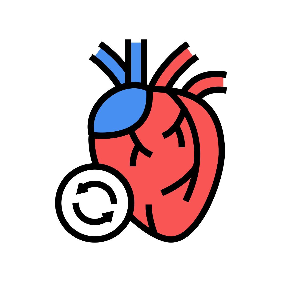 trasplante de corazón icon