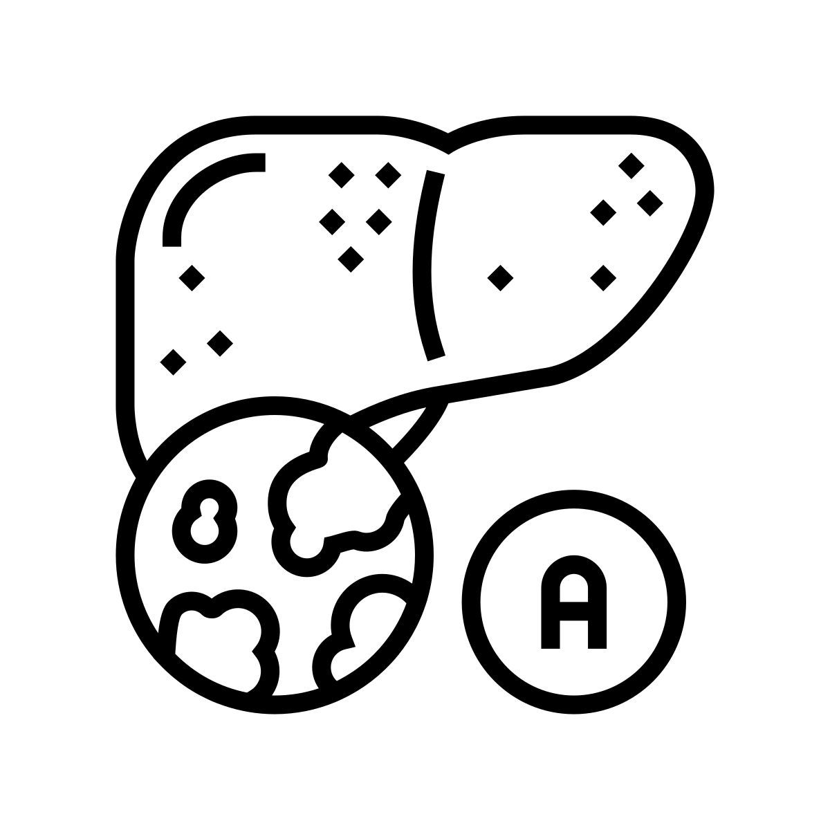 hepatitis a type icon