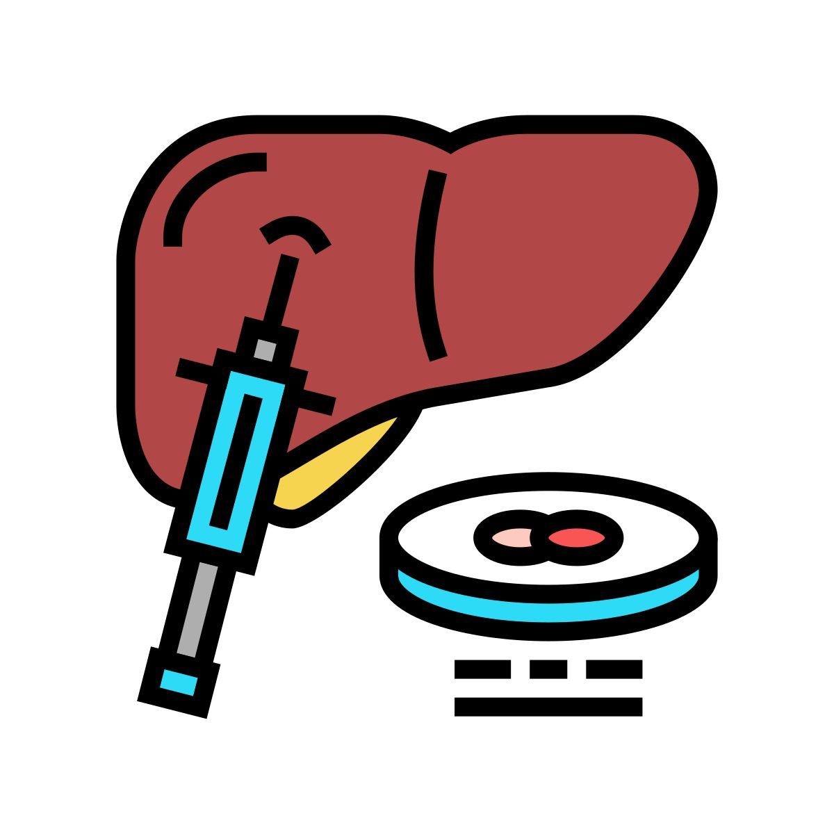 biopsia epatica icon