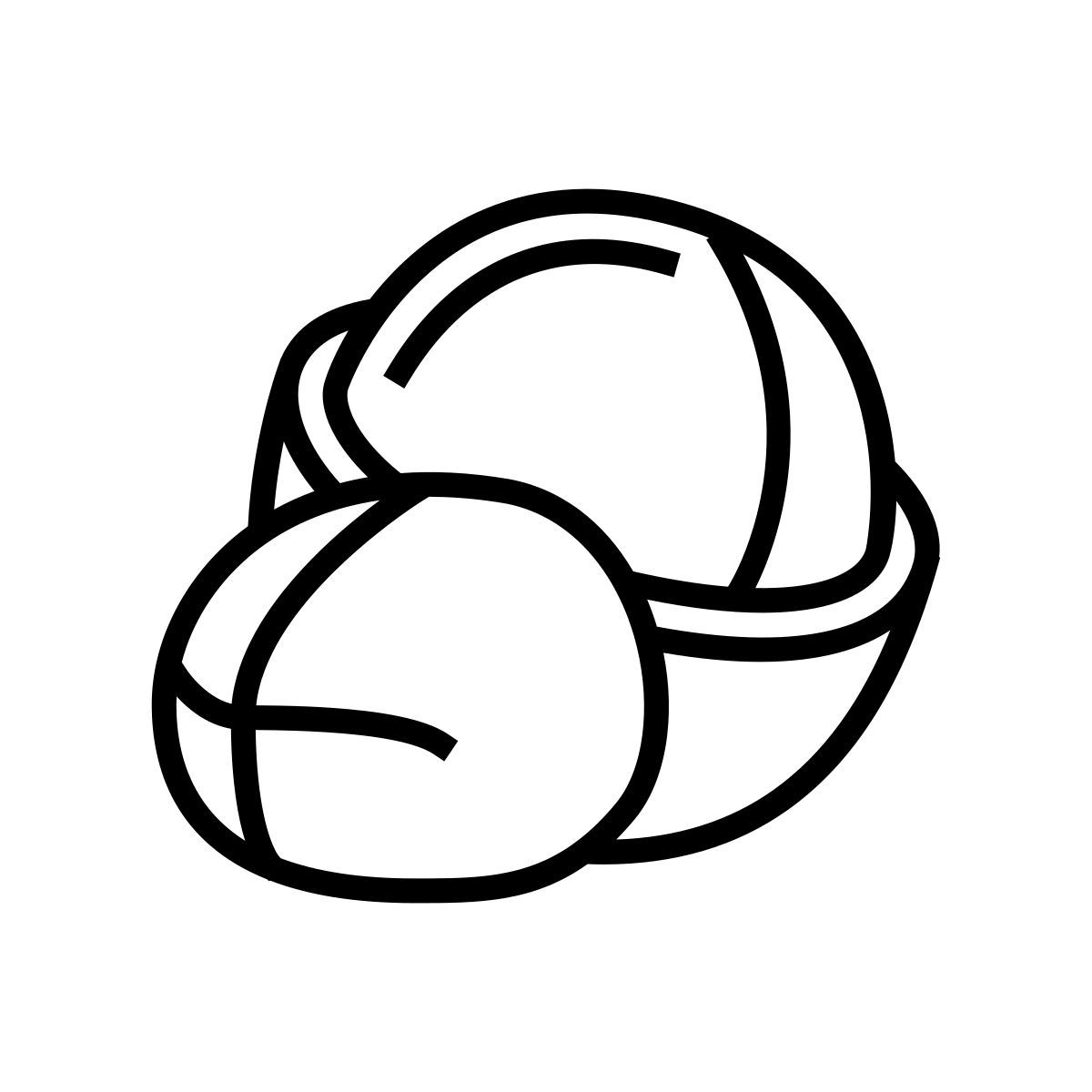 macadamia icon