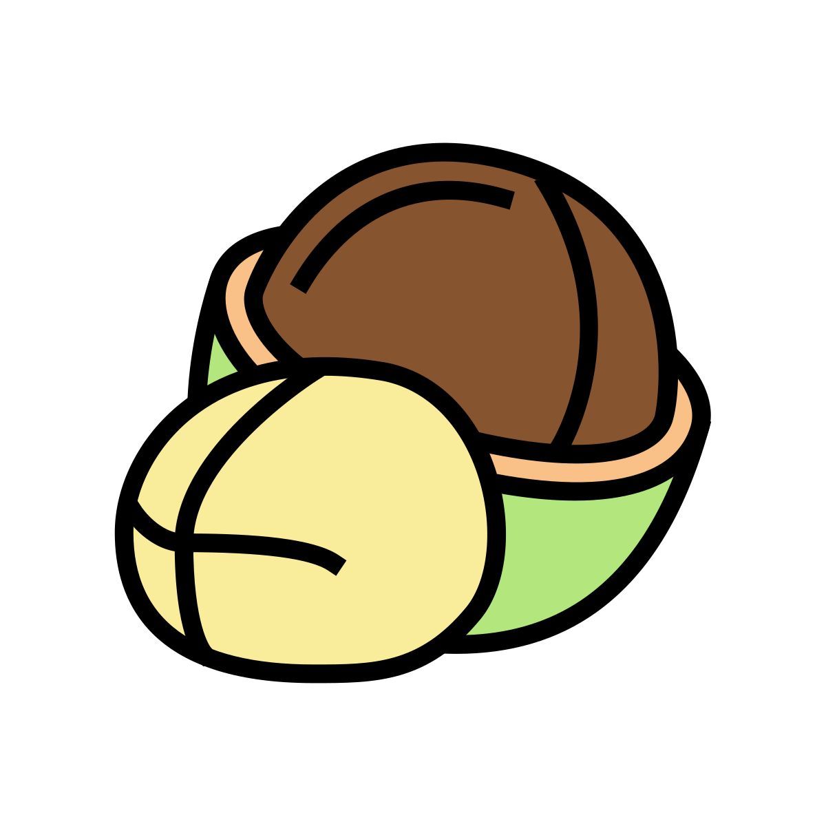macadamia icon