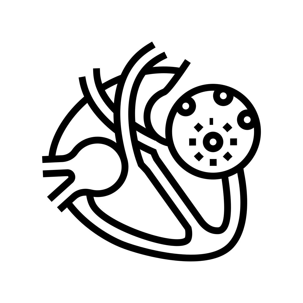 myocarditis icon