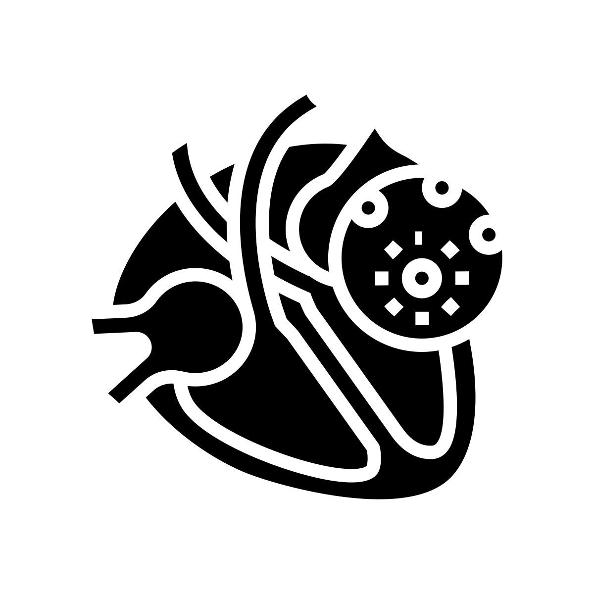 myocarditis icon