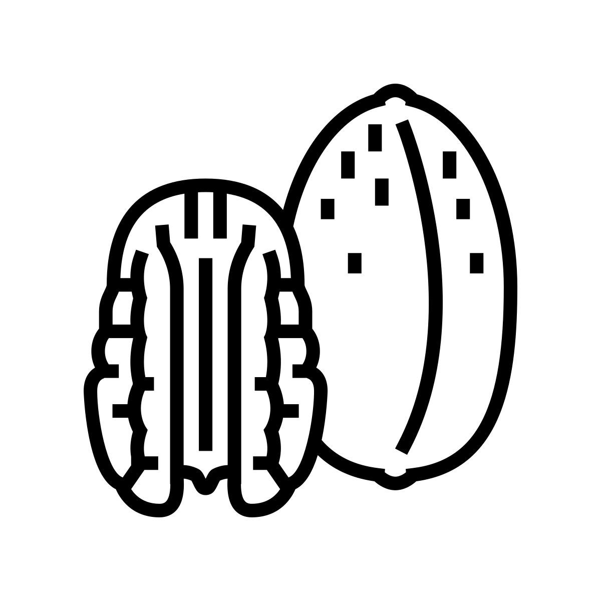 pecan icon