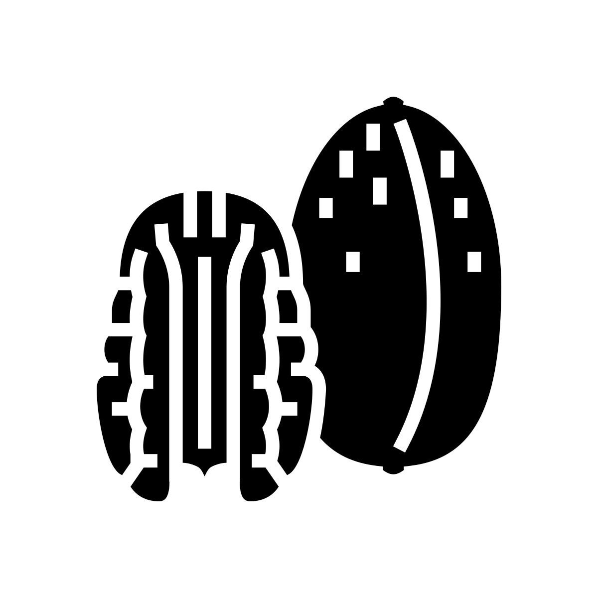 pecan icon