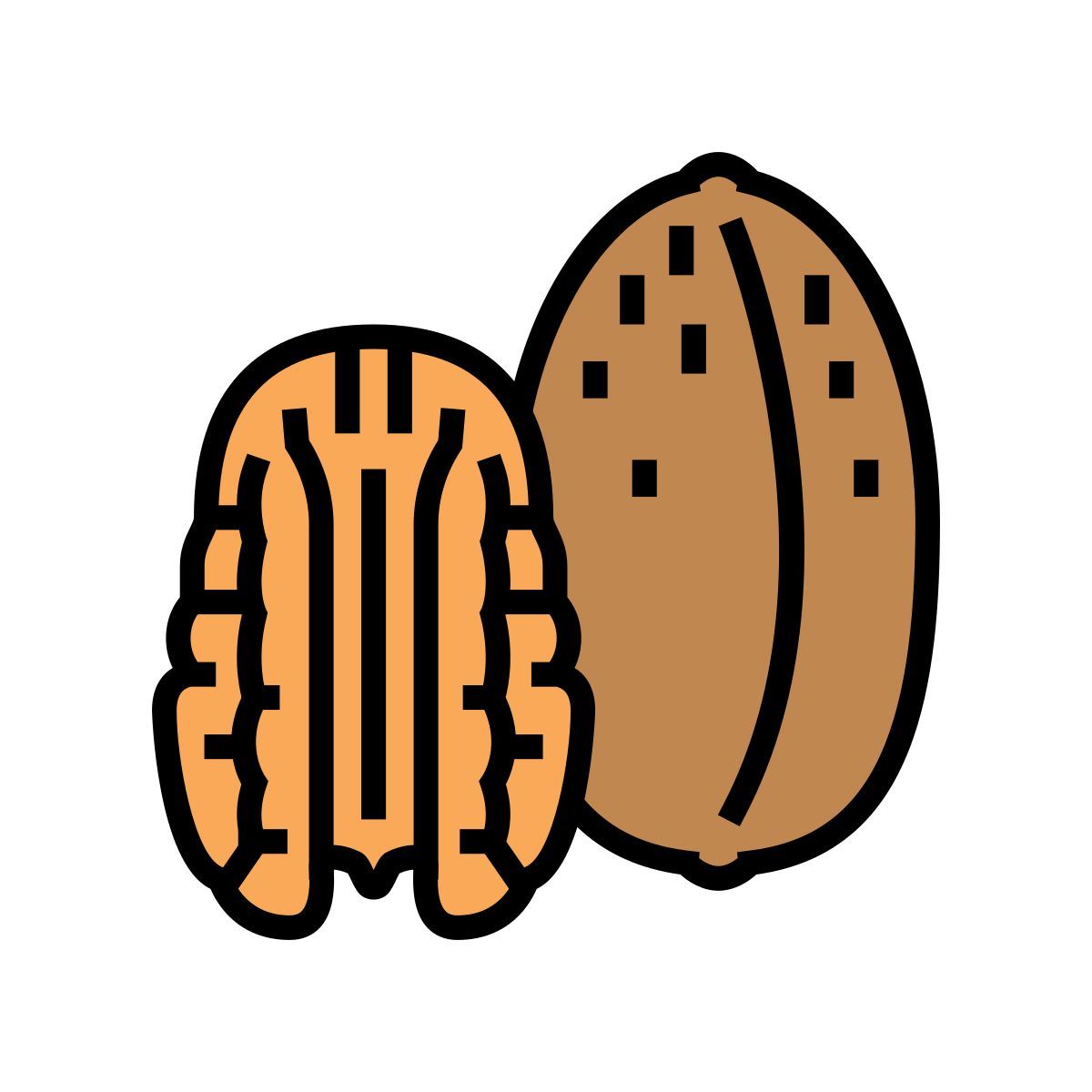 pecan icon