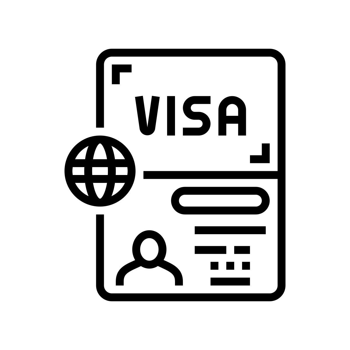 visa icon