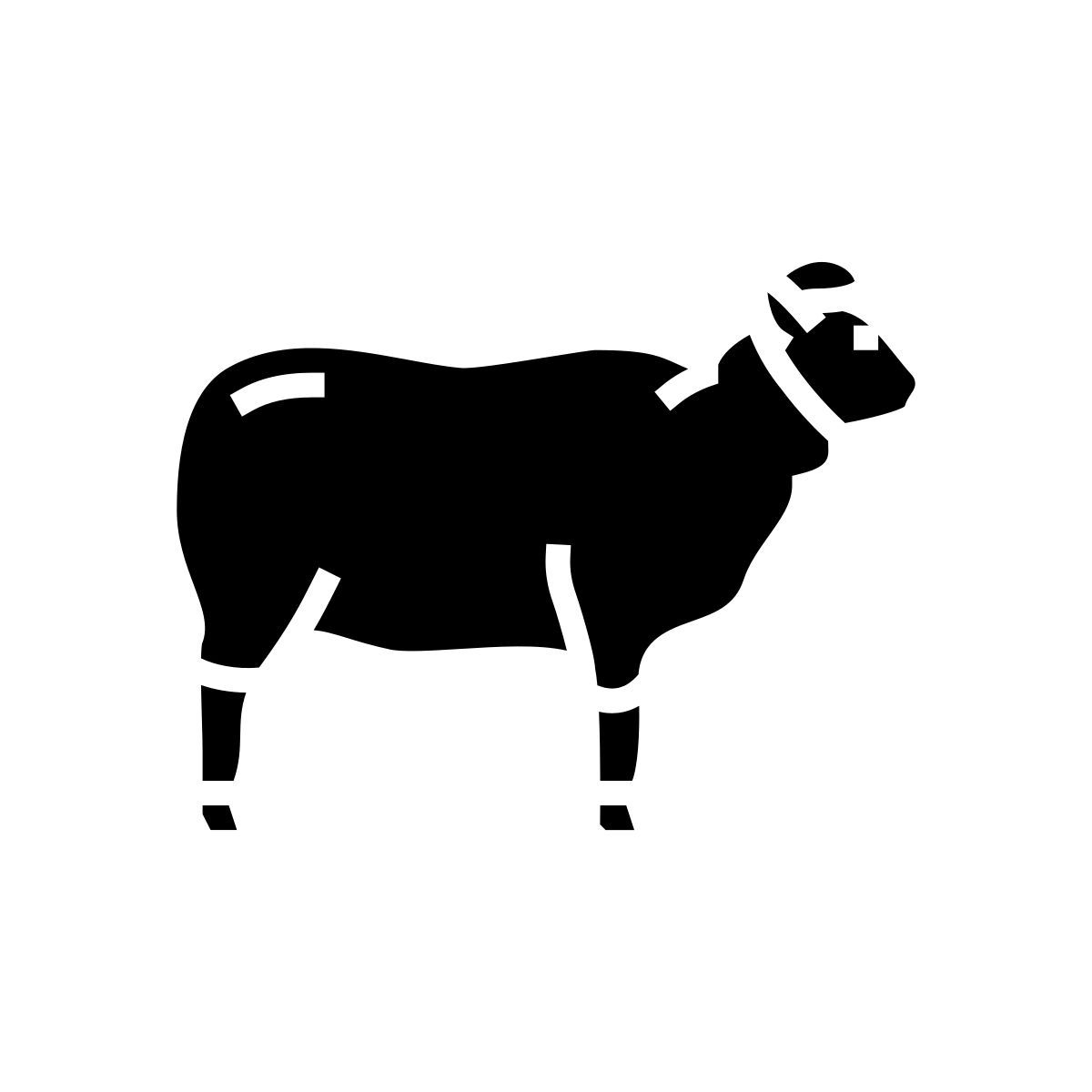 schaf icon