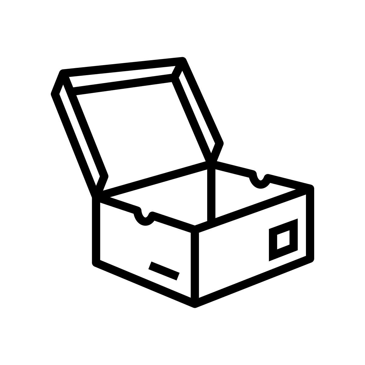 shoes box icon