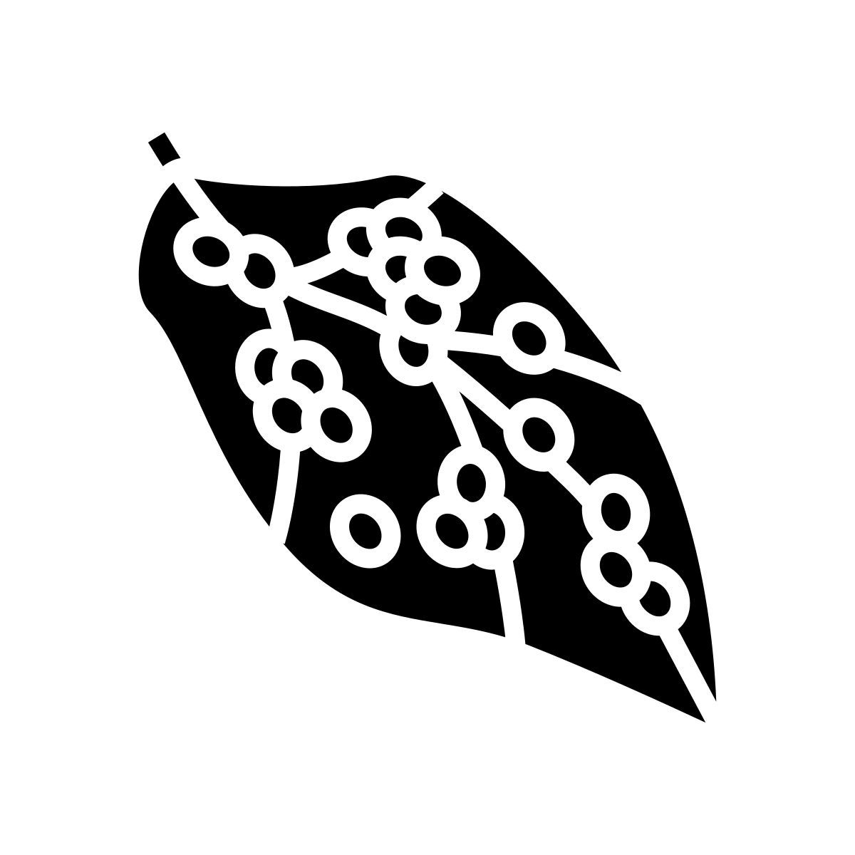 яйца шелкопряда icon