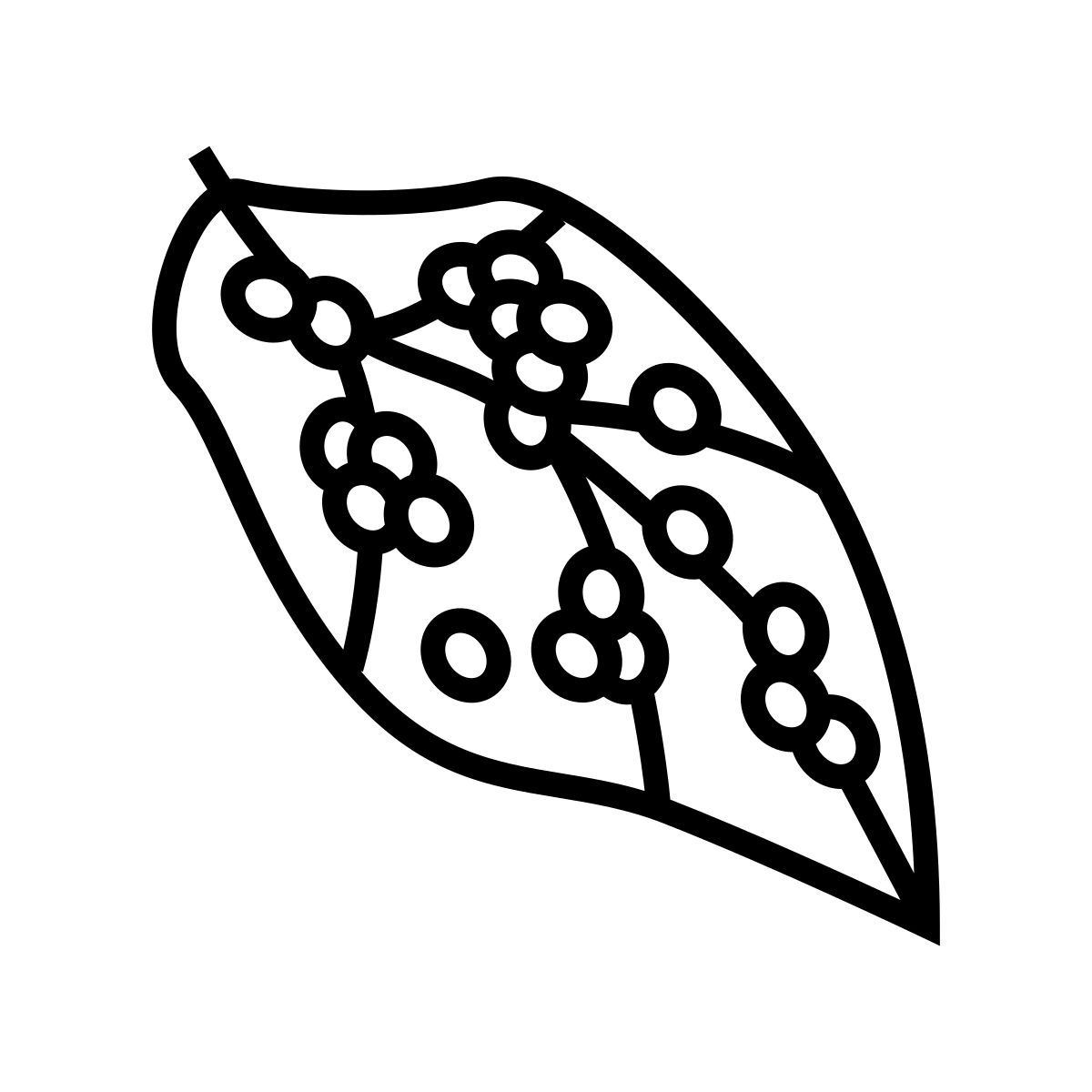 カイコの卵 icon