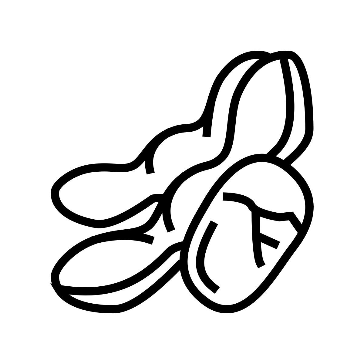 soy nut icon