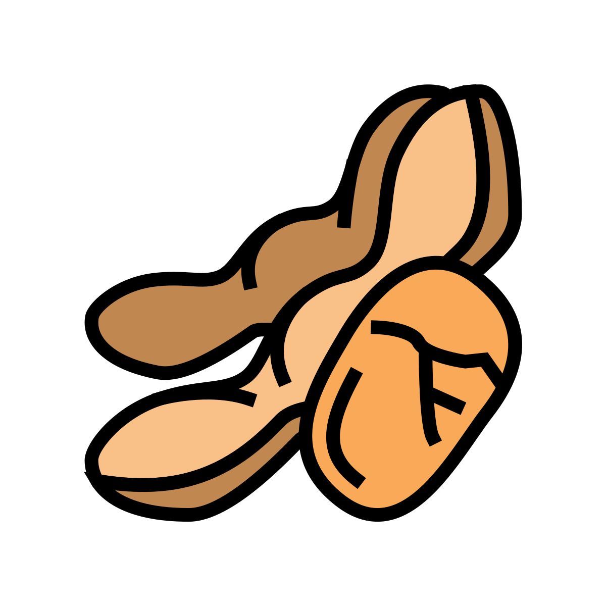 soy nut icon