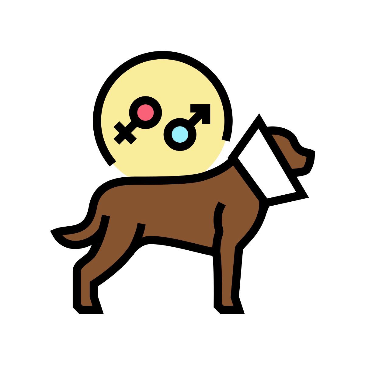esterilización icon