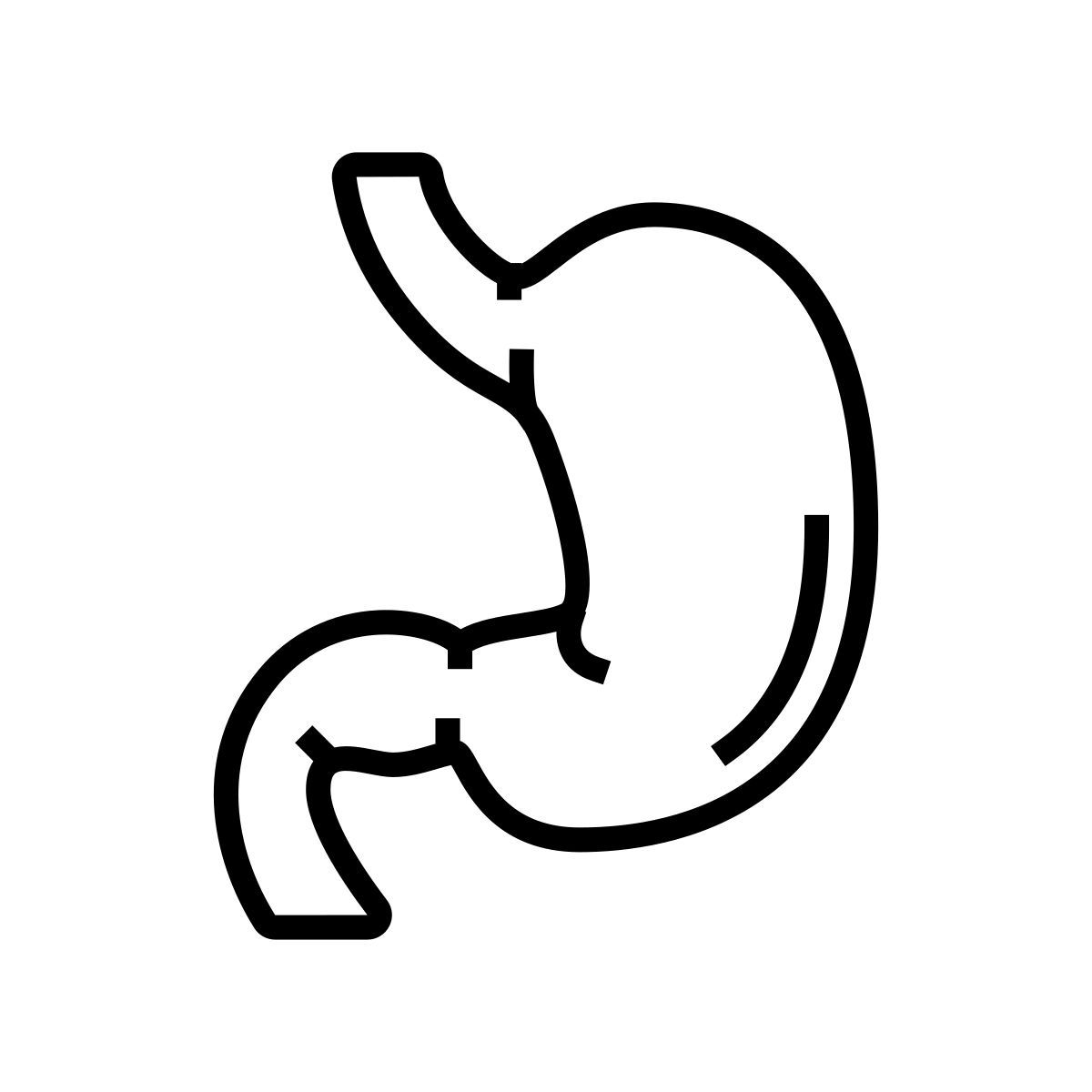 stomach icon