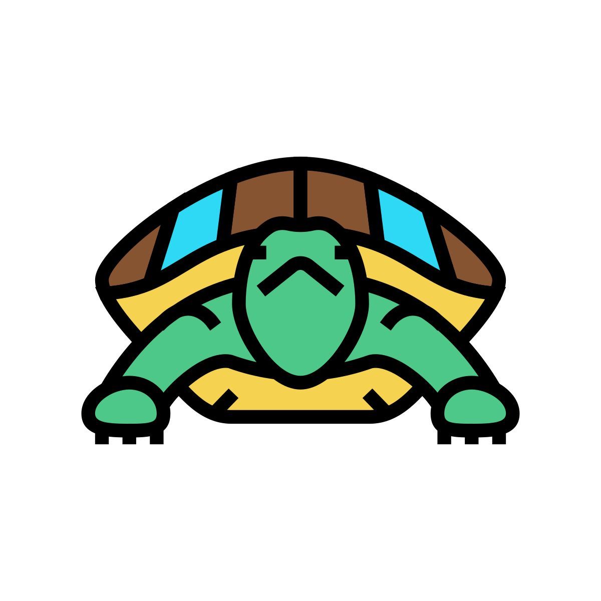 tortue icon