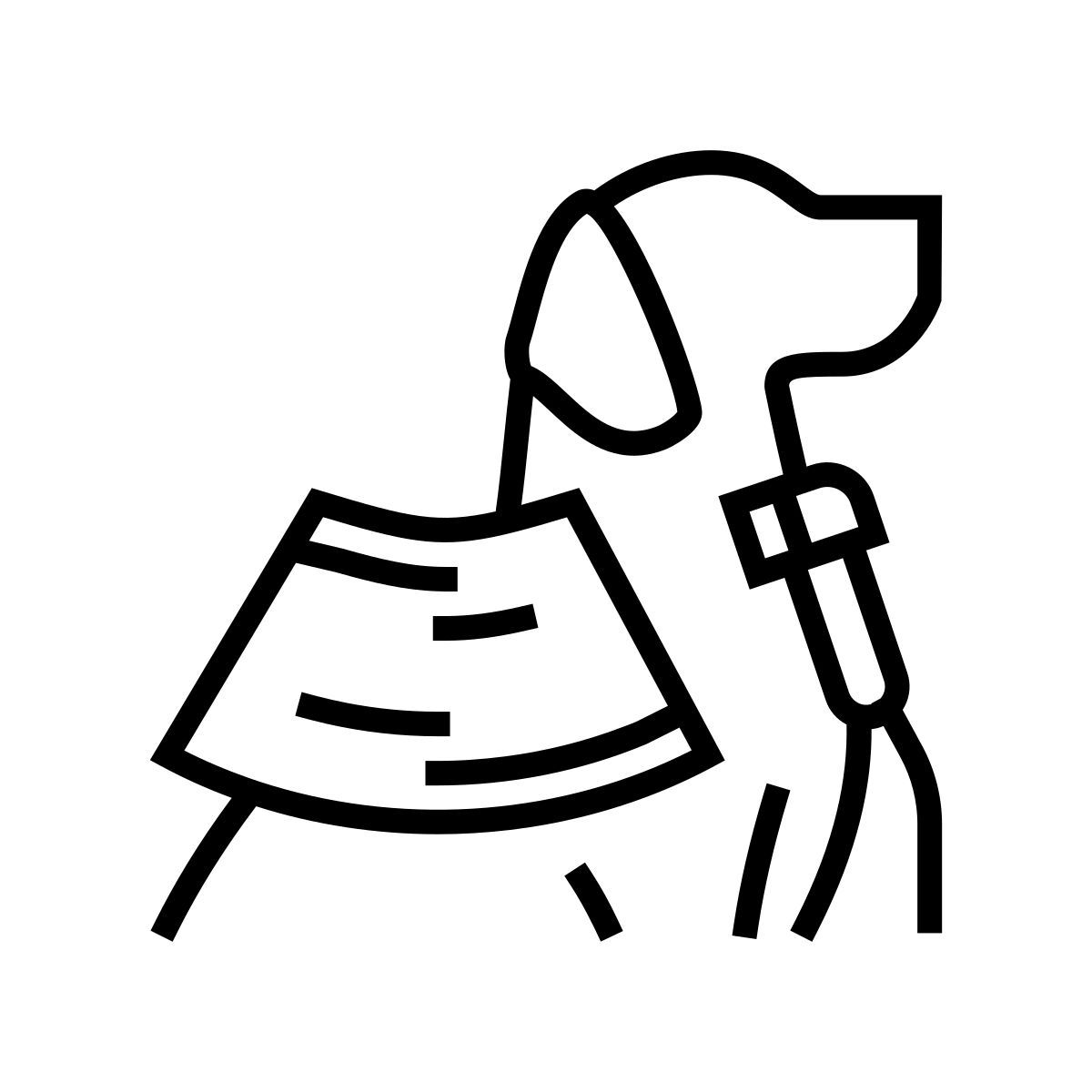 ultrasound examination icon