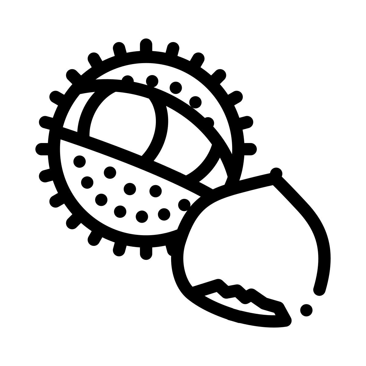杏仁 icon