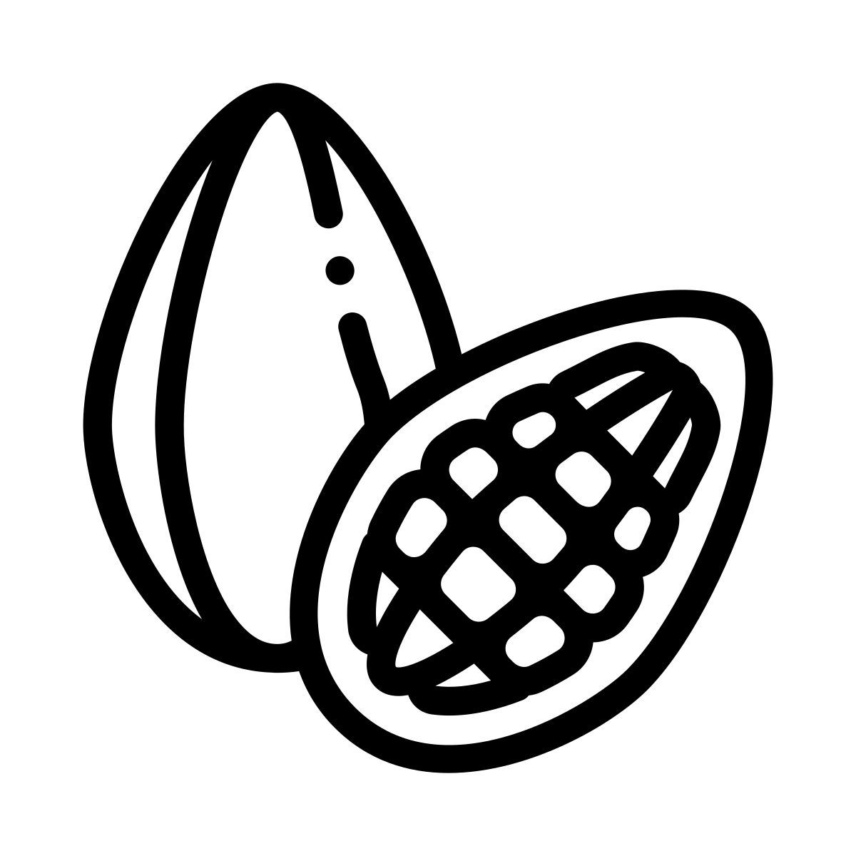 cocoa bean icon