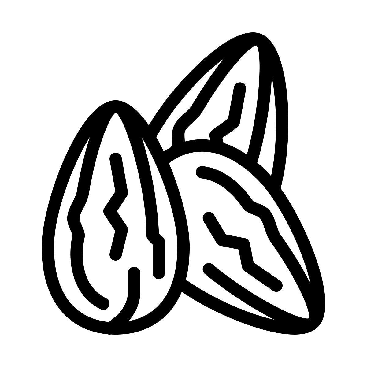 cocoa beans icon