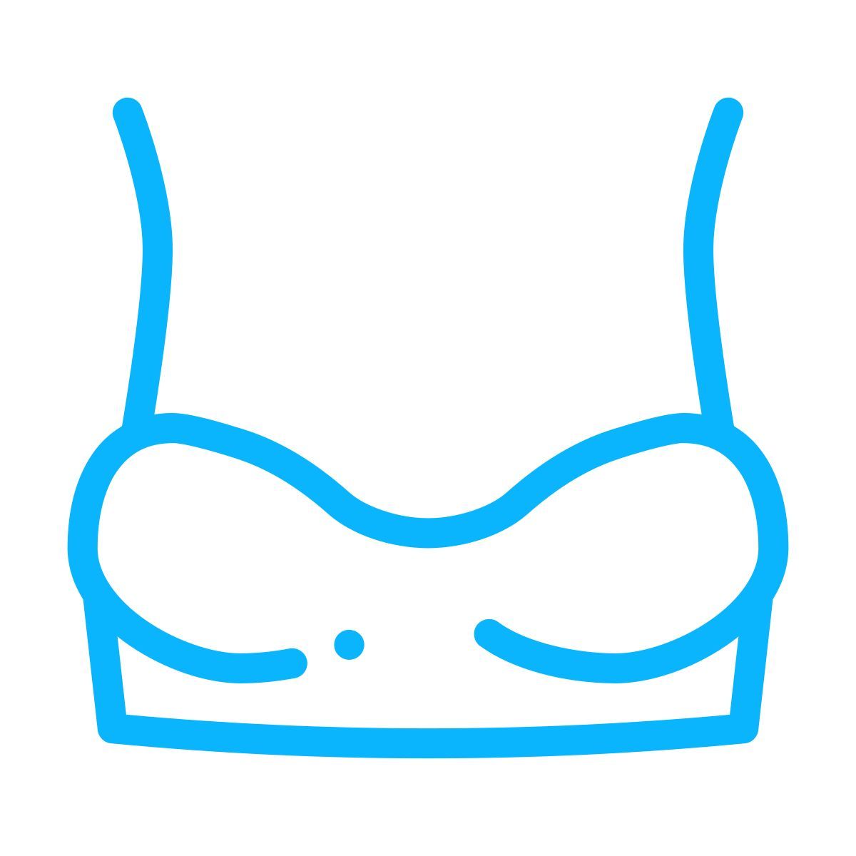 ブラジャー icon