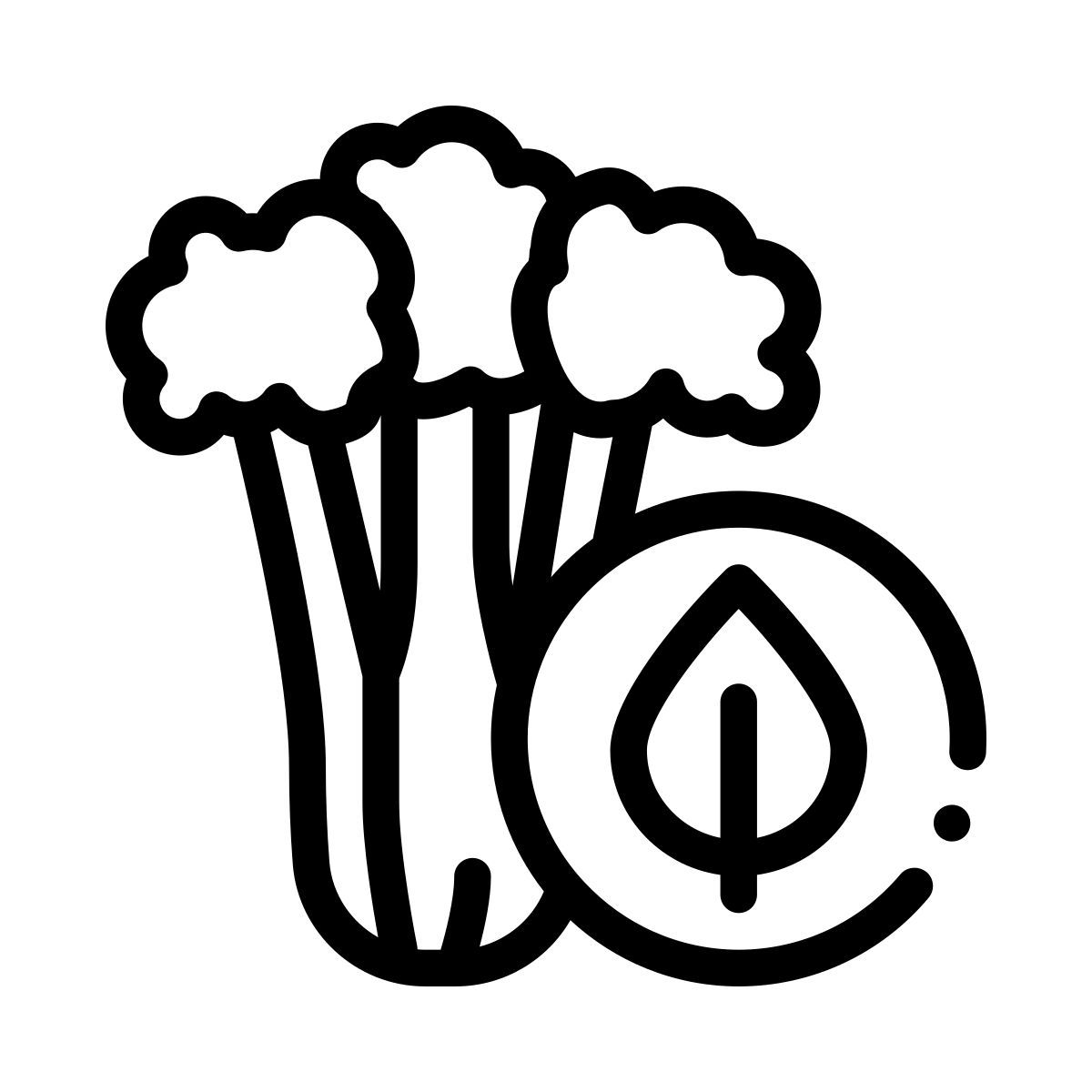 sedano icon