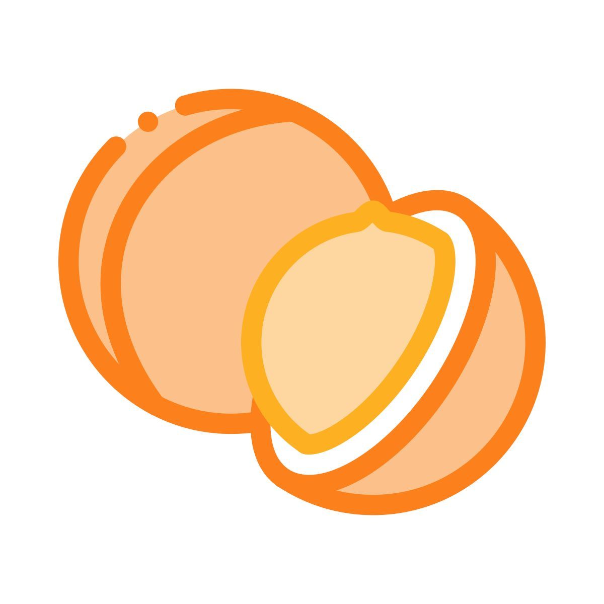 macadamia icon
