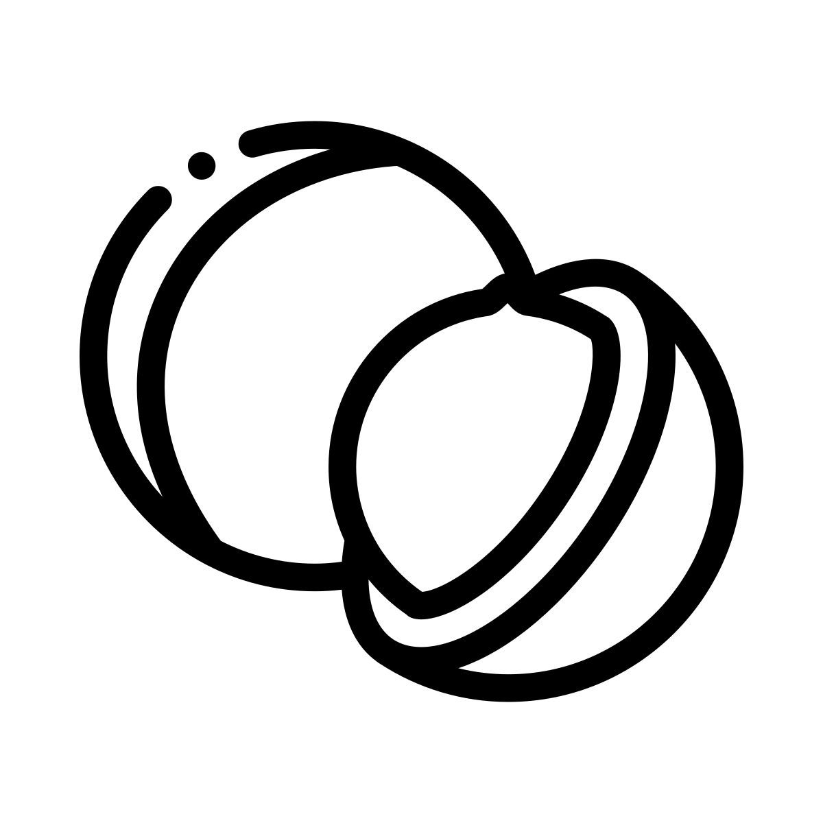 macadamia icon
