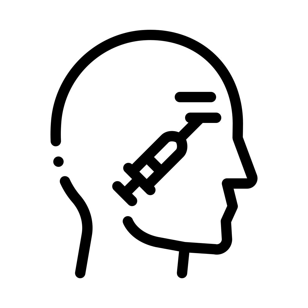 injektion icon